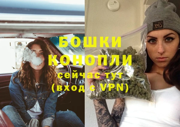 молекула духа Белоозёрский
