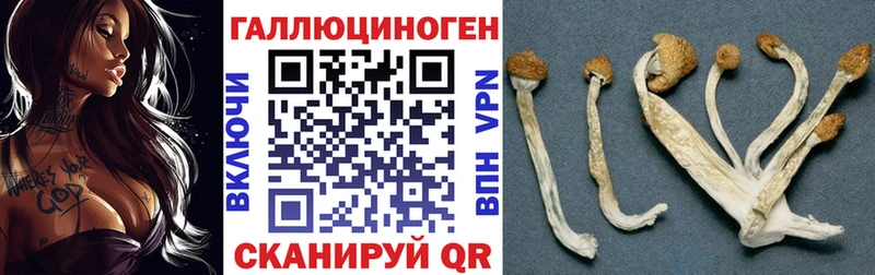 Купить закладки  Егорьевск  Псилоцибиновые грибы прущие грибы 